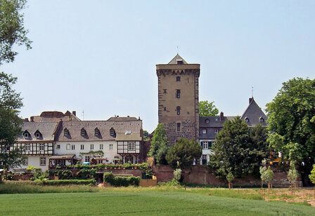 Blick über Wiese auf historische Fassaden von Zons im Sommer