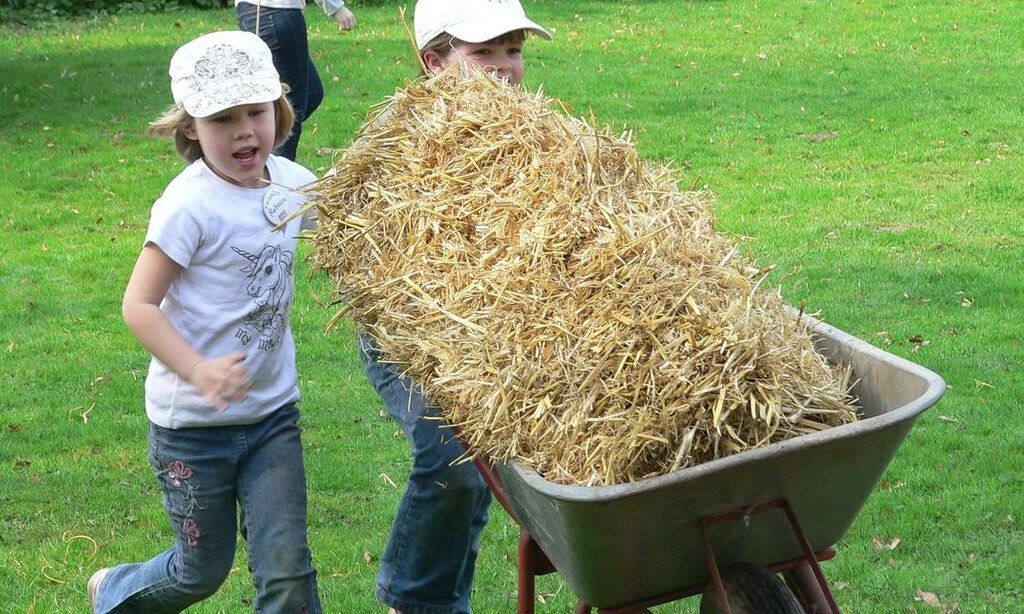 Zwei Kinder rennen mit einer mit Stroh beladenen Schubkarre über eine Wiese.