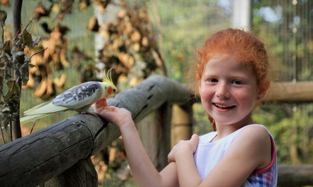 Rothaariges Mädchen mit Kanarienvogel