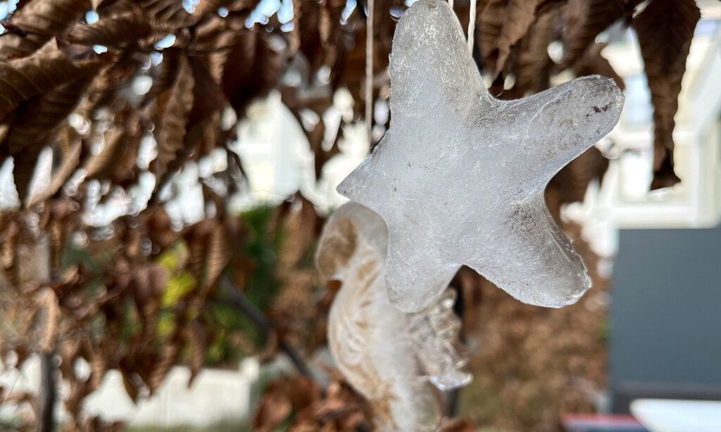 Eisstern, der in einem Baum hängt