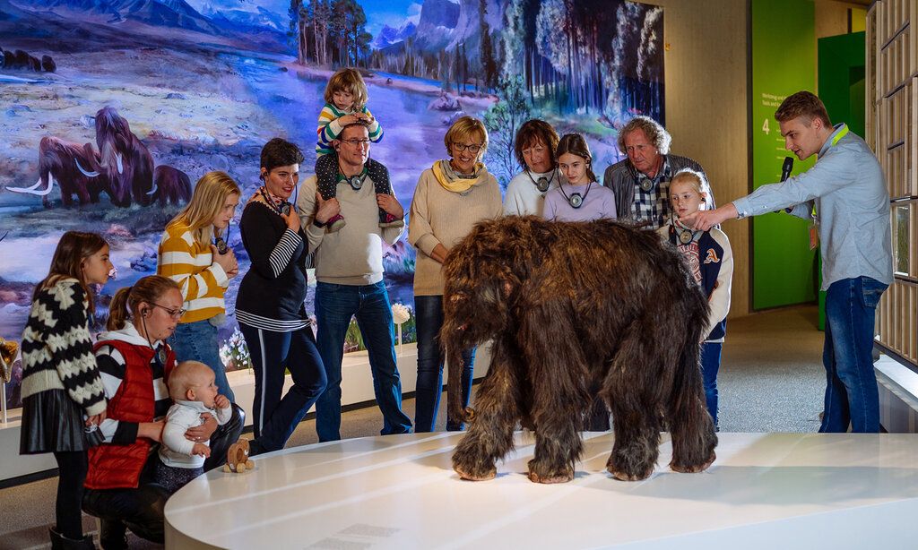 Besuchergruppe steht bei einer Figur eines Baby-Mammuts im Neanderthal Museum, der Museumsführer erklärt etwas