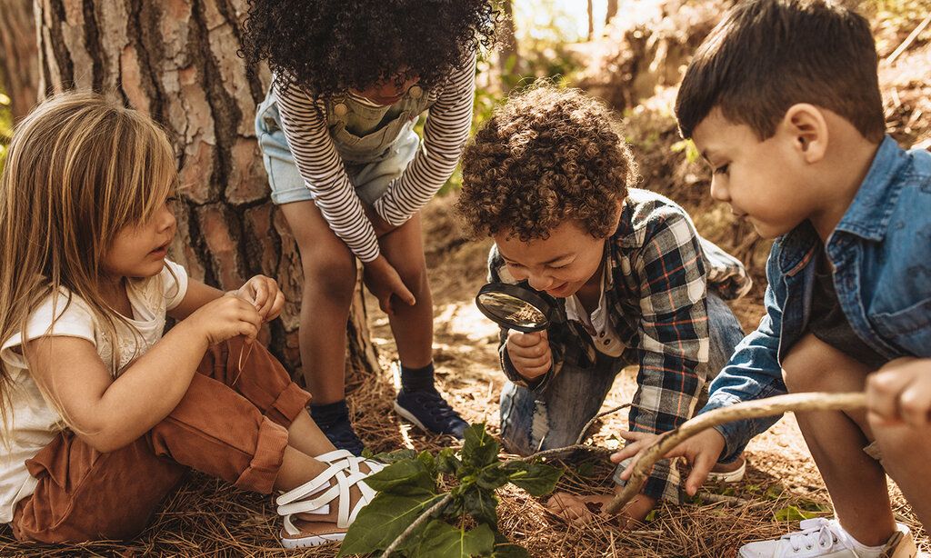 vier Kinder spielen im Wald, ein Kind guckt sich eine Pflanze mit einer Lupe an