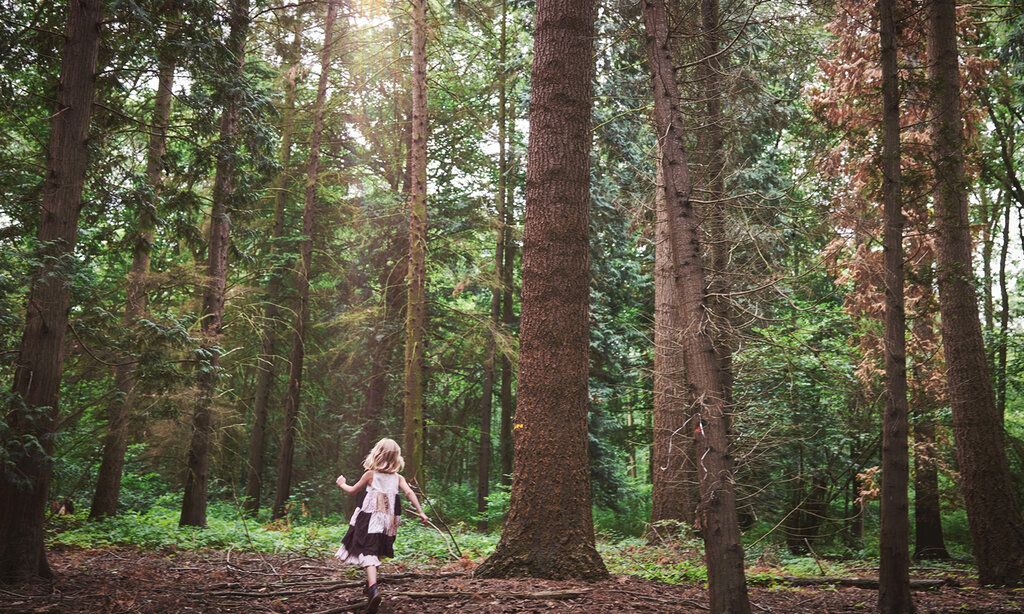 kleines Mädchen läuft im Wald zwischen großen Bäumen herum, Sicht von hinten