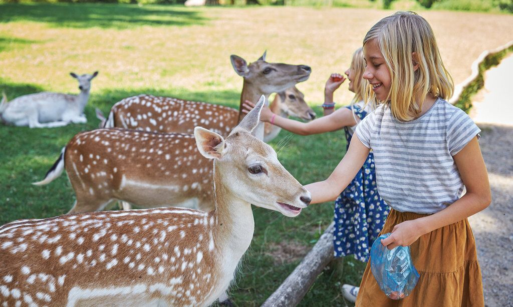 Zwei Mädchen füttern Rehe im Wildpark