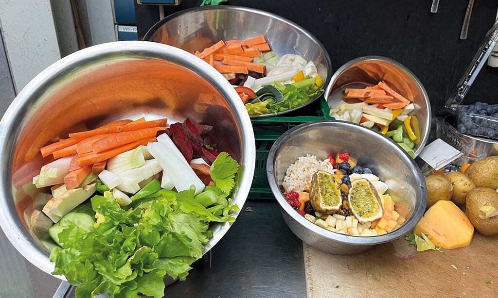 Näpfe mit Obst und Gemüse für die Tiere im Duisburger Zoo