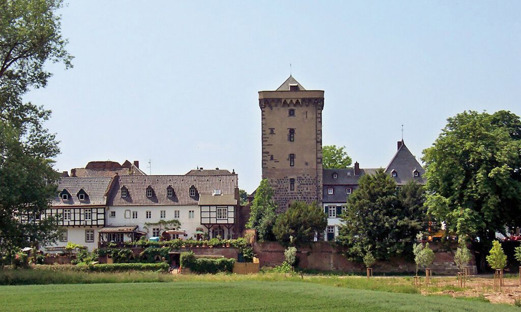 Blick über Wiese auf historische Fassaden von Zons im Sommer