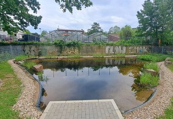 Der neu entstandene Teich hat eine Fläche von rund 150 Quadratmetern
